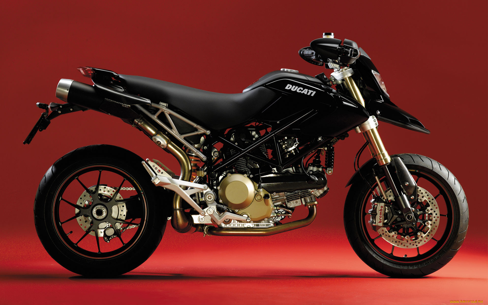 Ducati фото мотоциклов